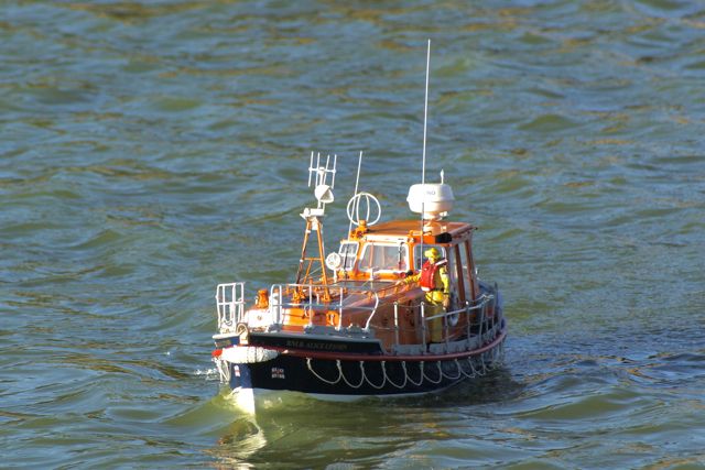 DSC02653 © Peter Taylor 2009