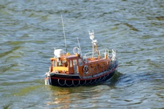 DSC02652 © Peter Taylor 2009