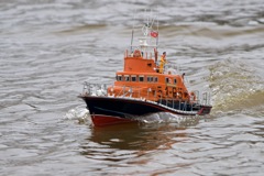 DSC03762 © Peter Taylor 2011