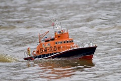 DSC03760 © Peter Taylor 2011