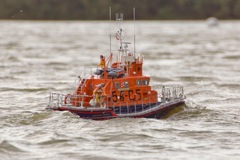 DSC02043 © Peter Taylor 2012