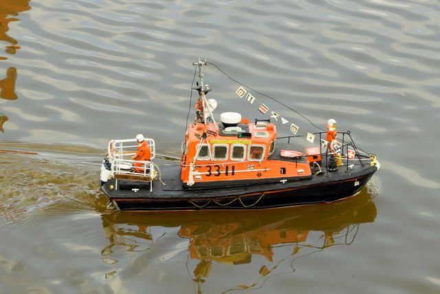 DSC07074 © Peter Taylor 2015
