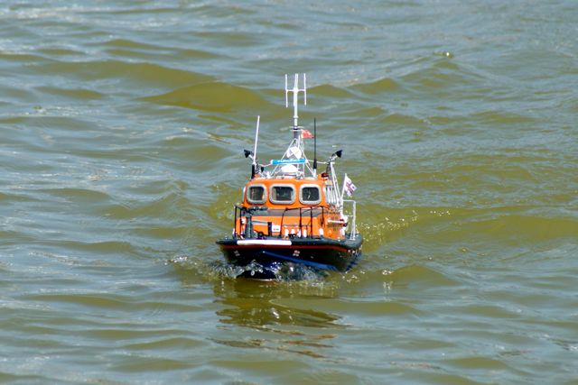 DSC01660 © Peter Taylor 2010