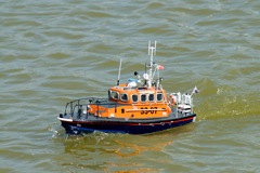 DSC01673 © Peter Taylor 2010