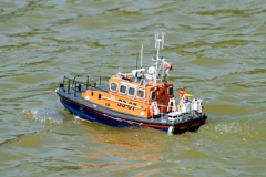 DSC01664 © Peter Taylor 2010