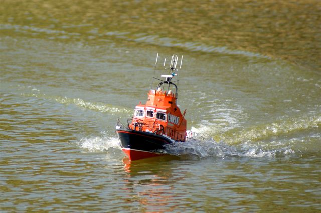 DSC03787 © Peter Taylor 2007