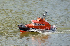 DSC03789 © Peter Taylor 2007