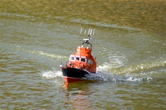 DSC03787 © Peter Taylor 2007