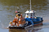 DSC05212 © Peter Taylor 2011