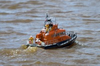 DSC05252 © Peter Taylor 2011