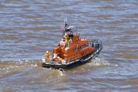 DSC05255 © Peter Taylor 2011