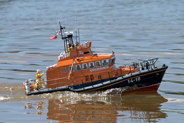 DSC05197 © Peter Taylor 2011