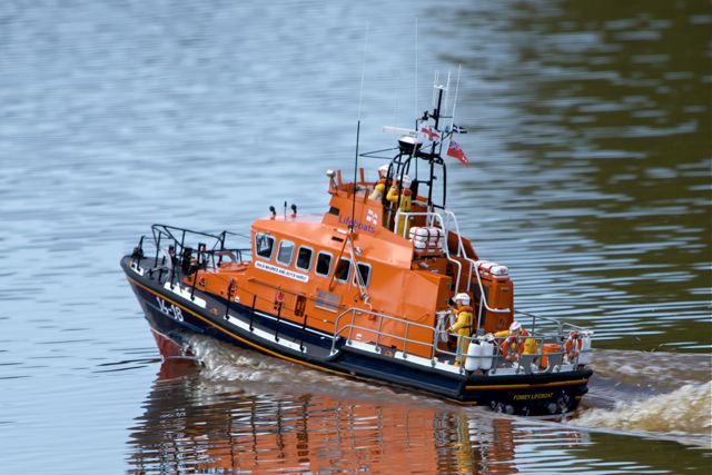DSC05146 © Peter Taylor 2011