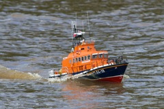 DSC05243 © Peter Taylor 2011