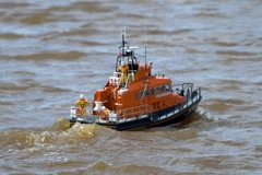 DSC05252 © Peter Taylor 2011