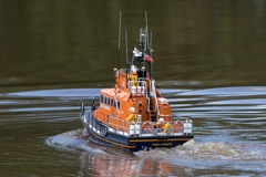 DSC05182 © Peter Taylor 2011