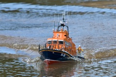 DSC05150 © Peter Taylor 2011