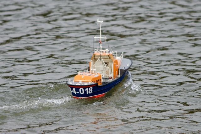 DSC09110 © Peter Taylor 2011