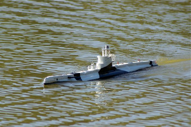 DSC06722 © Peter Taylor 2008