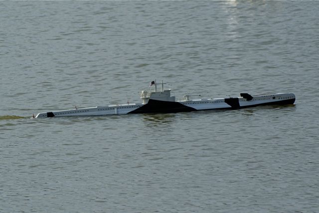 DSC06667 © Peter Taylor 2008