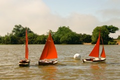DSC03473 © Peter Taylor 2013
