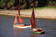 DSC04225 © Peter Taylor 2013