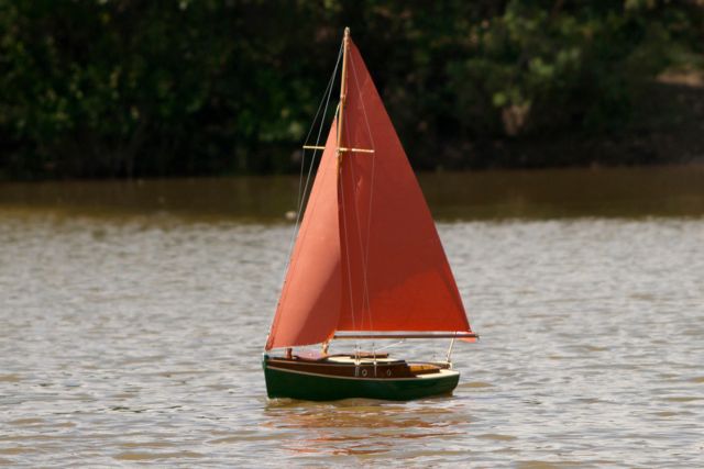 DSC01690 © Peter Taylor 2013