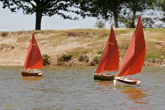 DSC03466 © Peter Taylor 2013