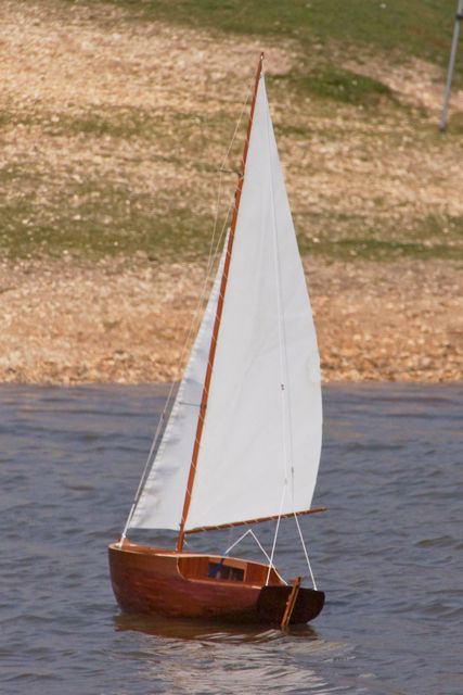 DSC03076 © Peter Taylor 2013