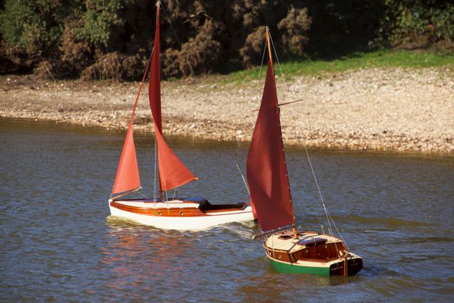 DSC04225 © Peter Taylor 2013