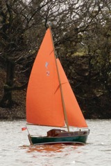 DSC07883 © Peter Taylor 2016