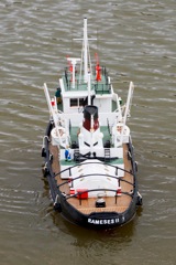 DSC02127 © Peter Taylor 2012