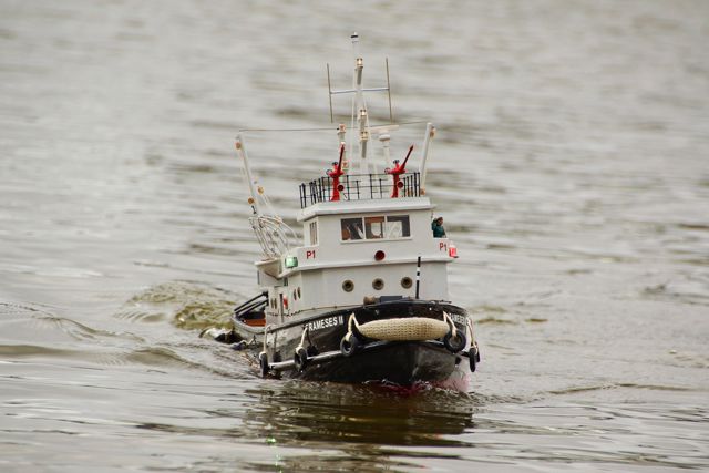 DSC02136 © Peter Taylor 2012