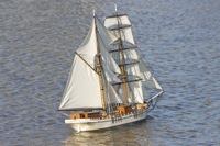 DSC09616 © Peter Taylor 2012