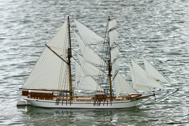 DSC08439 © Peter Taylor 2011