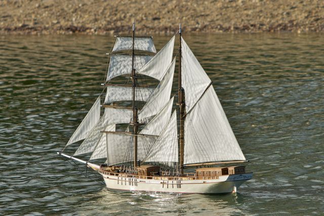 DSC08423 © Peter Taylor 2011