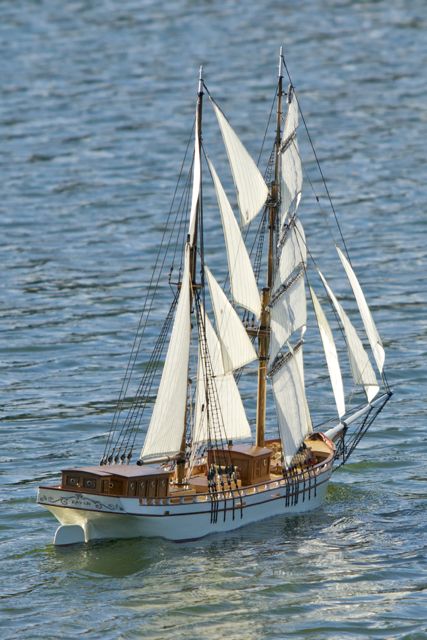 DSC08409 © Peter Taylor 2011