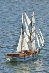 DSC08409 © Peter Taylor 2011