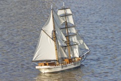 DSC09616 © Peter Taylor 2012