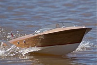 DSC04593 © Peter Taylor 2011