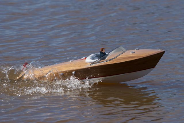 DSC04594 © Peter Taylor 2011