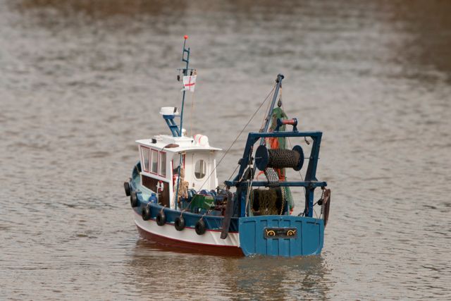 DSC01579 © Peter Taylor 2013