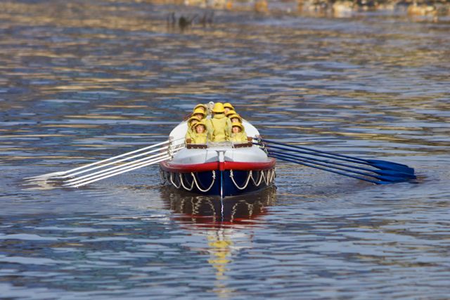 DSC09782 © Peter Taylor 2012