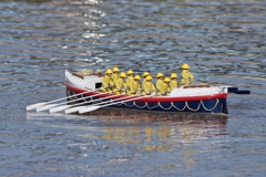 DSC09789 © Peter Taylor 2012