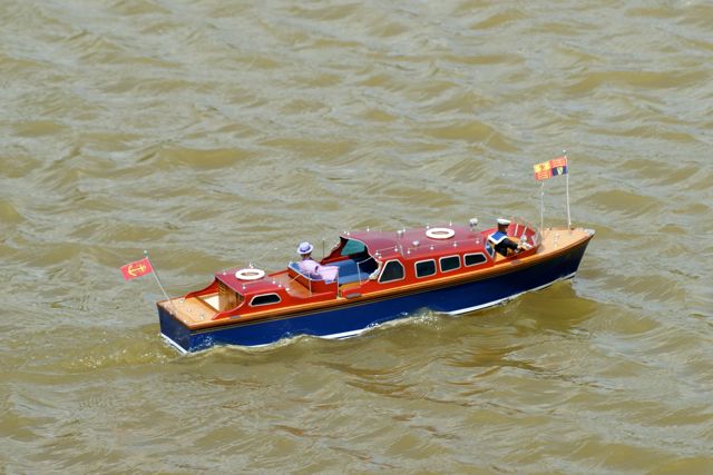 DSC01765 © Peter Taylor 2010