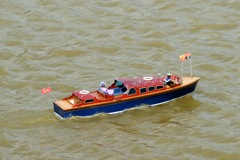 DSC01765 © Peter Taylor 2010