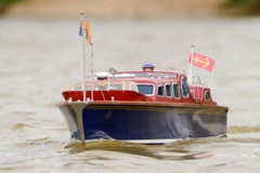 DSC01755 © Peter Taylor 2012