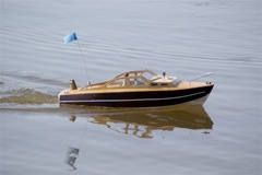 A100.08041403 © Peter Taylor 2008
