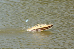 A100.07042804 © Peter Taylor 2007