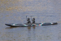 DSC07378 © Peter Taylor 2011